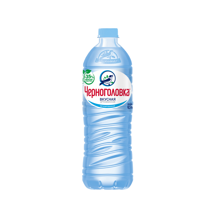 Вода Черноголовка н/газ 0,5